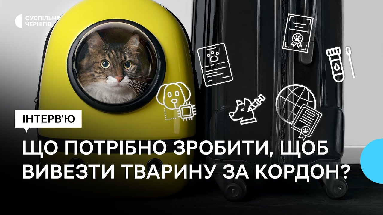 YouTube video preview