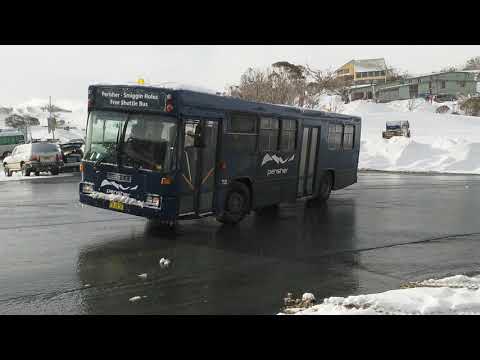 Mercedes O405 Bus; Ex Sydney Buses (STA) 3234 mk5
