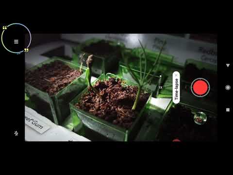 HOW to Time-lapse 📸 with a PHONE // xiaomi redmi note 8 pro