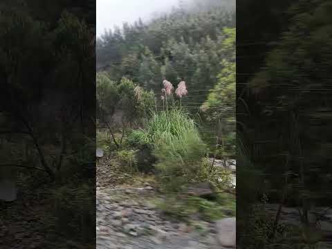 Ríos y Quebradas Municipio de Quime saliendo del pueblo hacia Caxata. Inquisivi. La Paz - Bolivia