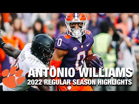 Antonio Williams Regular Season Highlights | Clemson WR