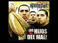 Los Hijos Del Maiz- Kintosol 