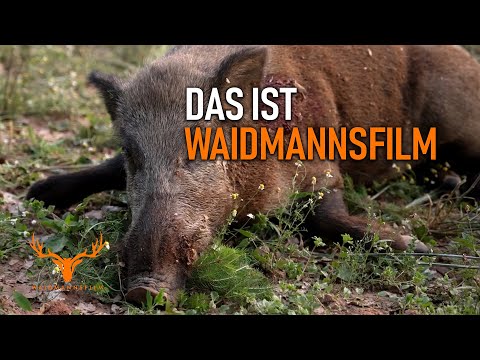 A true hunting film! Great hunting moments.