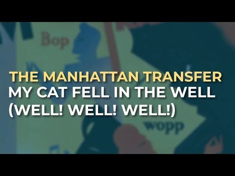 My Cat Fell In The Well (Well, Well, Well) cover