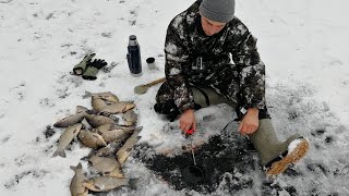 Клев рыб в омске
