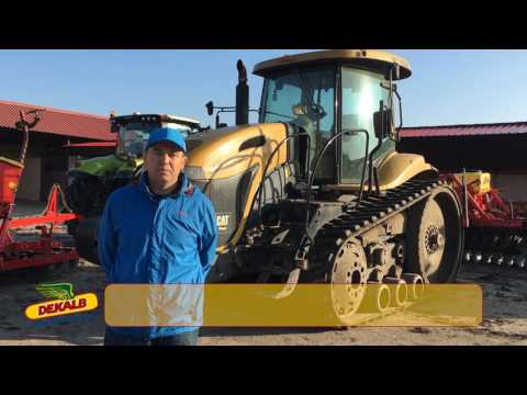 Testimonial DKC 5031, DKC 5141, DKC 4351 - Boran Marius