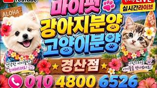 유튜브 썸네일