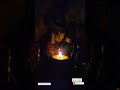 Aashadhi Ekadashi Devaahayani Ekadashi Jay Hari Vitthal Jay Jay Raam Krishna Hari