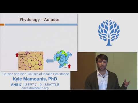 AHS17 Causes and Non-Causes of Insulin Resistance - Kyle Mamounis