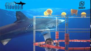 DIA 2 Expo Tiburon113