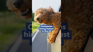 Need a Job Fast? Top Companies Hiring Right Now | #Indeed