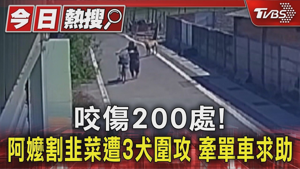 3犬狂咬76歲嬤！跌倒田中「打滾掙扎」　全身傷口逾200處