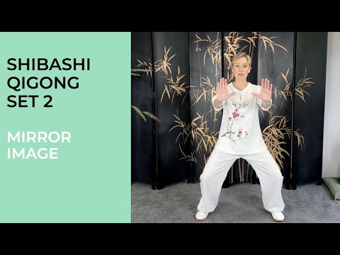 Taiji Shibashi Qigong Set 2