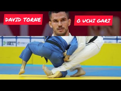 David García Torne Modified O Uchi