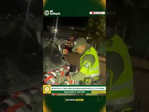 Antioquia: incautan casi 3 toneladas de marihuana en Bello y La Pintada | #MiAntioquiaNoticias