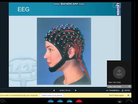 part 7 BCI,online lecture.