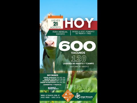 21/08/2025  Feria Mensual - Jorge Strauch / Sociedad Fomento de Treinta y Tres - Treinta y Tres