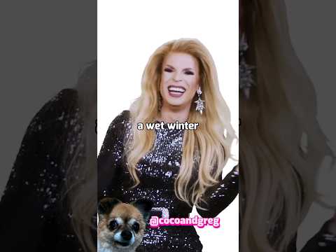 THE MOTHER GOOSE COMPILATION #trixieandkatya #trixiemattel #katyazamo #unhhhh #dragrace #shorts