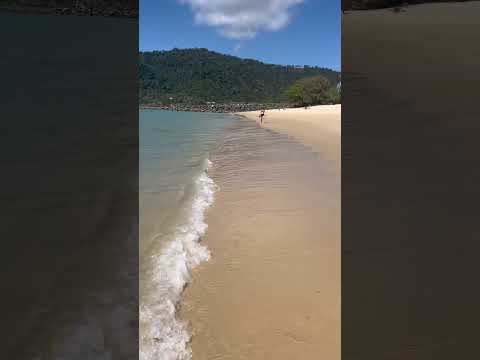 Danica’s Lifestyle!