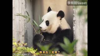 kid fuuny,songs for kids,for kids,baby songsOkolele,oko lele,Oko and Lele,oko lele officail,Oko 8