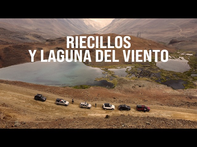 Judge.me YouTube video placeholder