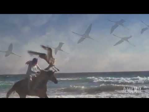 Un beso a medias...💕