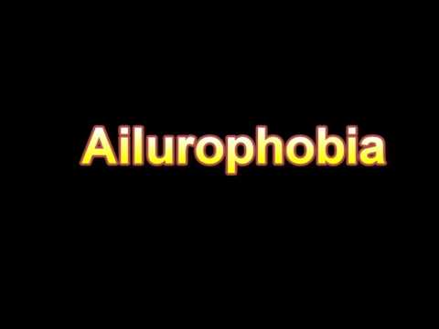 What Is The Definition Of Ailurophobia (Medical Dictionary Online)