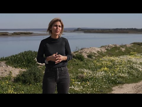 Interview: Arbeitsplätze in der blauen Wirtschaft für ehemalige Häftlinge