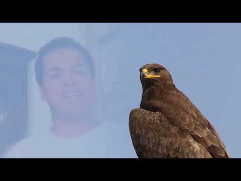 Mihoatra Lavitra | Tarika Christophe Ratrema | Hira Fiderana Malagasy