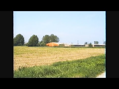 Svinjogojska farma Senkovac – Video vremeplov