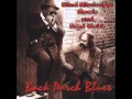 Blind Mississippi Morris and Brad Webb - Ole Black Neena