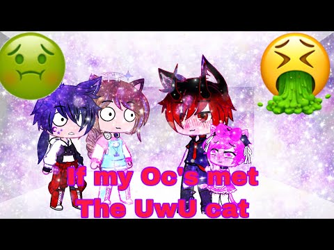 If my oc’s met the UwU cat||Gacha club