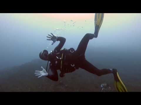 diving with friends forever young