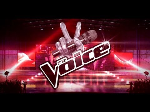Laurent delage & Thomas Vacarri (The Voice TF1)
