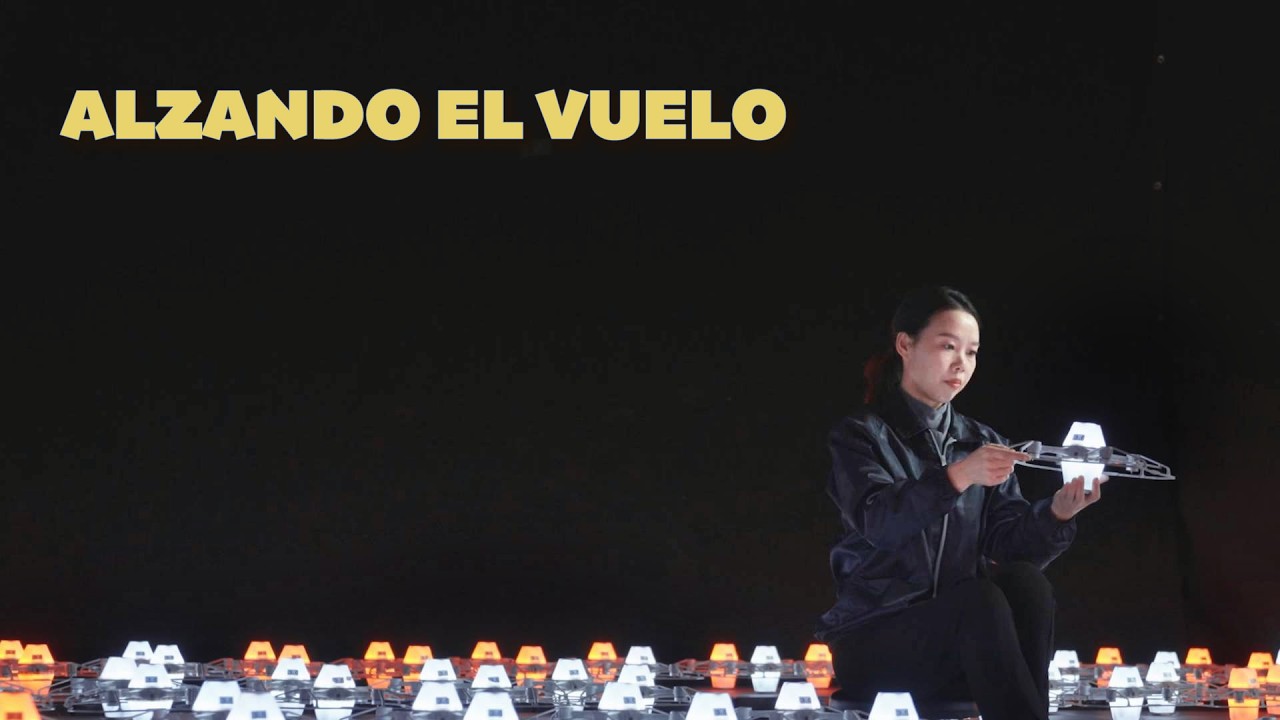 Maestro en shenzhen | Alzando el vuelo