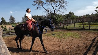 FULL PRACTICE WITH MY HORSES