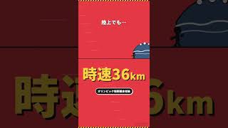 津波から走って逃げられるのか秒速の現実