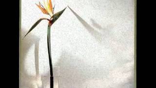 New Musik - A Map of You