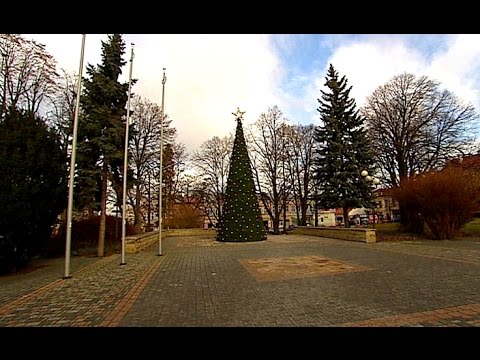 Choinka zamiast pomnika wdzięczności Armii Czerwonej