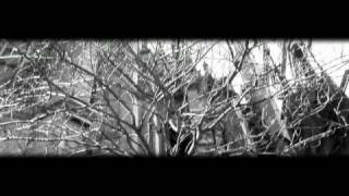szeifert vs krash - 100 miles from home ( original )