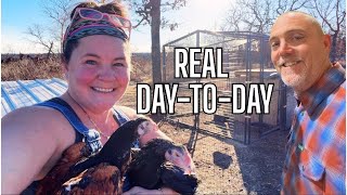 A REAL Full Week on the Ranch! New Lambs, Hatchery Chicks & Cold Weather Coming