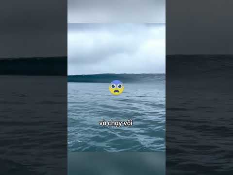 People panicked when they saw the tsunami but #shorts