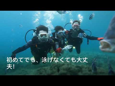 1組貸切 青の洞窟体験ダイビング 沖縄県 真栄田岬 当日予約ok Gopro写真画像 餌付け無料 地域共通クーポン取扱店 アクティビティジャパン 1組貸切 青の洞窟体験ダイビング 沖縄県 真栄田岬 当日予約ok Gopro写真画像 餌付け無料 地域共通クーポン取扱店 アクティビティジャパン