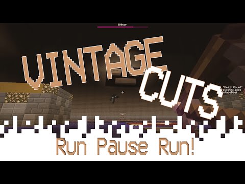 VintageCuts - Run Pause Run! (Minecraft)