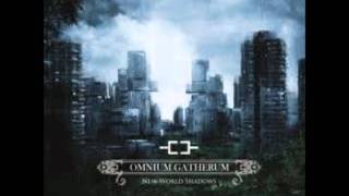 Omnium gatherum - everfields