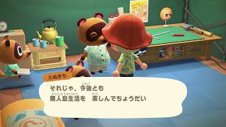 【オシャンティーな無人島生活】あつまれどうぶつの森 part4