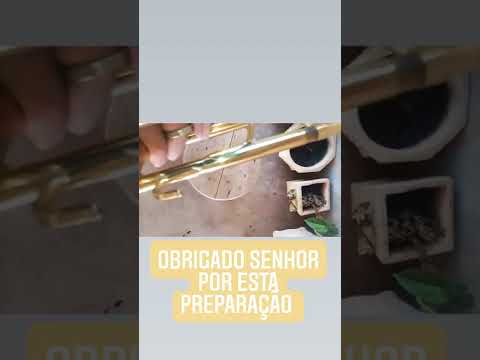 Preparação do Senhor 🙏🙌 Werill et 1172