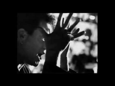 Videoclip de Red Back Fever — The Angels