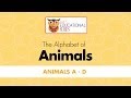The Alphabet Of Animals A D