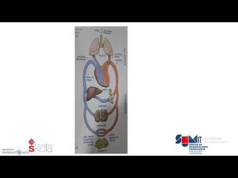 9 razred,30 03 3 04, 3sat,Srce,krvne žile i krvotok